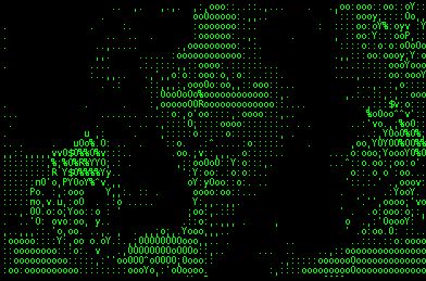 Understanding Research Disclaimers and Disclosures in Blockchain Study